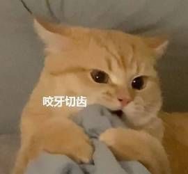 wechat_upload173881963967a44837ebd37